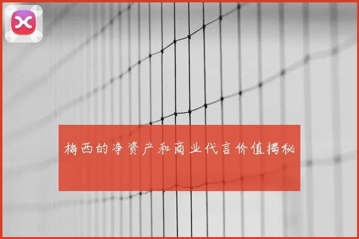 梅西的净资产和商业代言价值揭秘